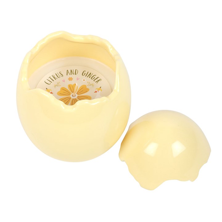 Citrus & Ginger Egg Shaped Candle 🇬🇧