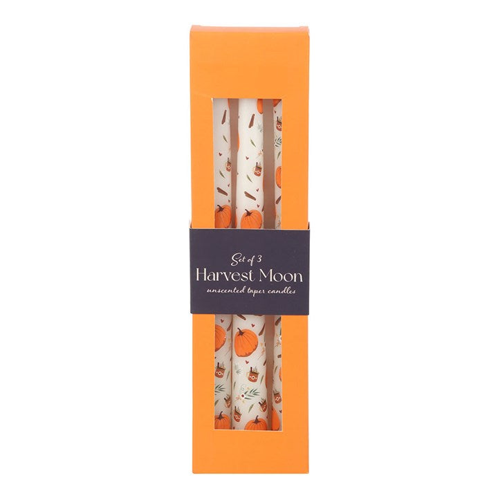 Set of 3 Pumpkin Taper Candles 🇬🇧