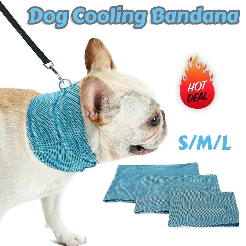 Dog Cooling Bandana Ice Pet Cooling Collar for Hiking Traveling Pet Supplies 🇨🇳