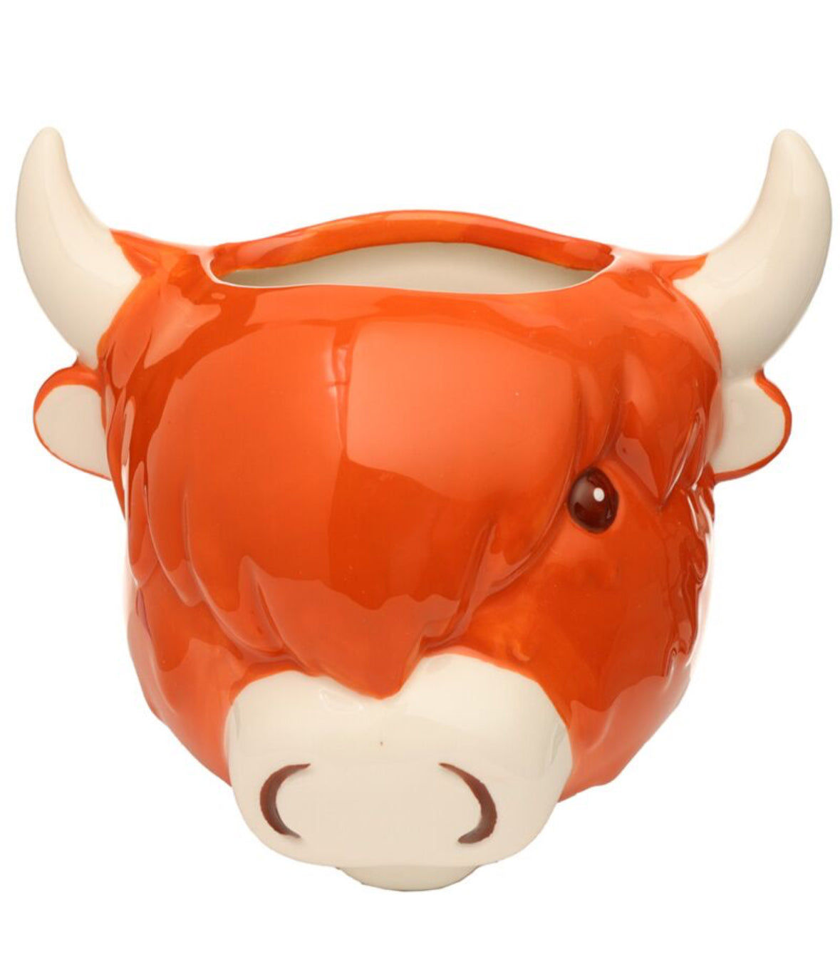 Decorative Ceramic Indoor Wall Planter/Plant Pot - Highland Coo Cow 🇬🇧