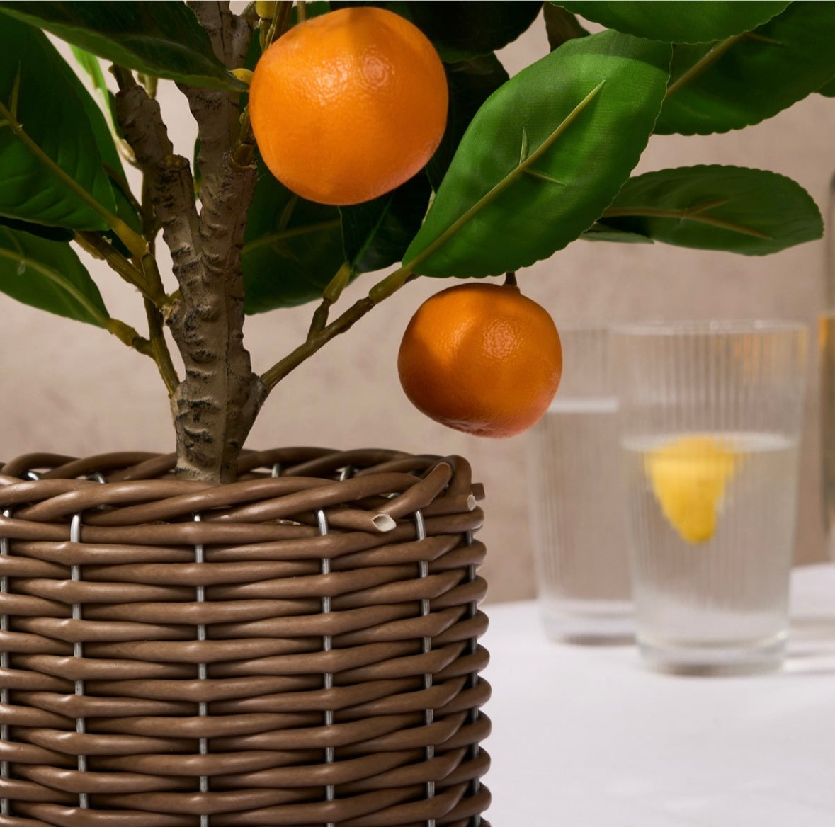 Orange Tree in Basket - Green/Orange 🇬🇧