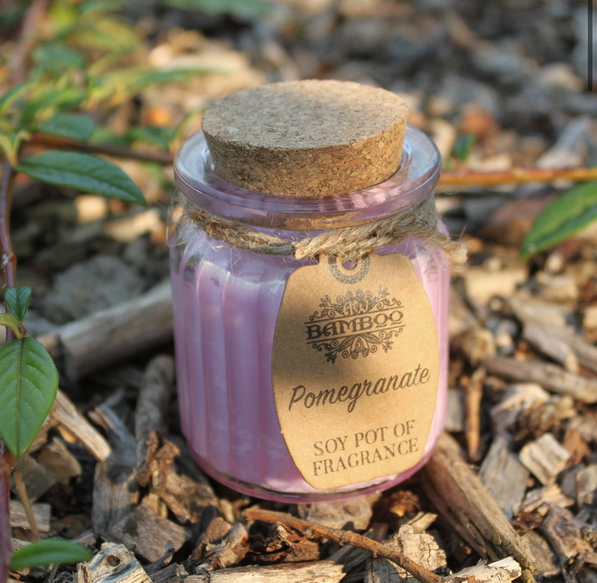 2x Pomegranate Soy Pot of Fragrance Candles 🇬🇧