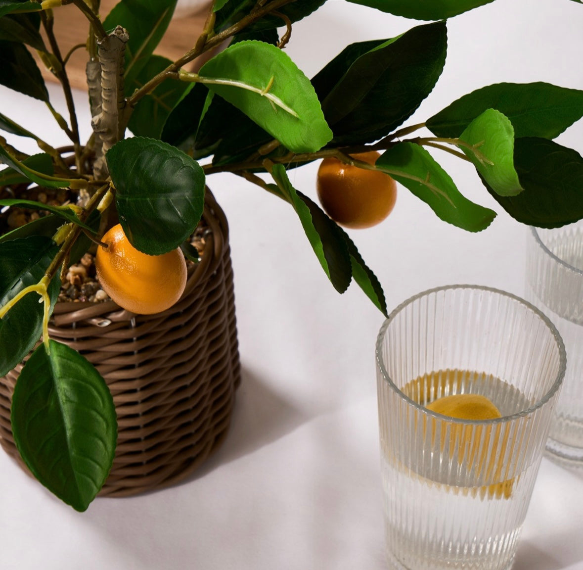 Lemon Tree in Basket - Green/Yellow 🇬🇧
