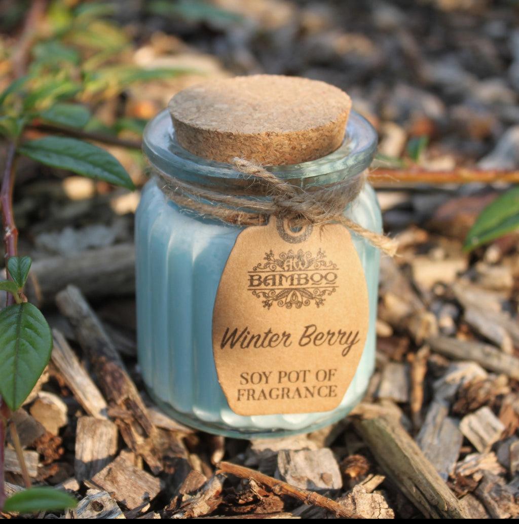 2x Winter Berry Soy Pot of Fragrance Candles 🇬🇧