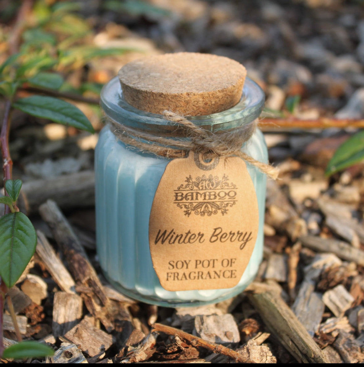 2x Winter Berry Soy Pot of Fragrance Candles 🇬🇧