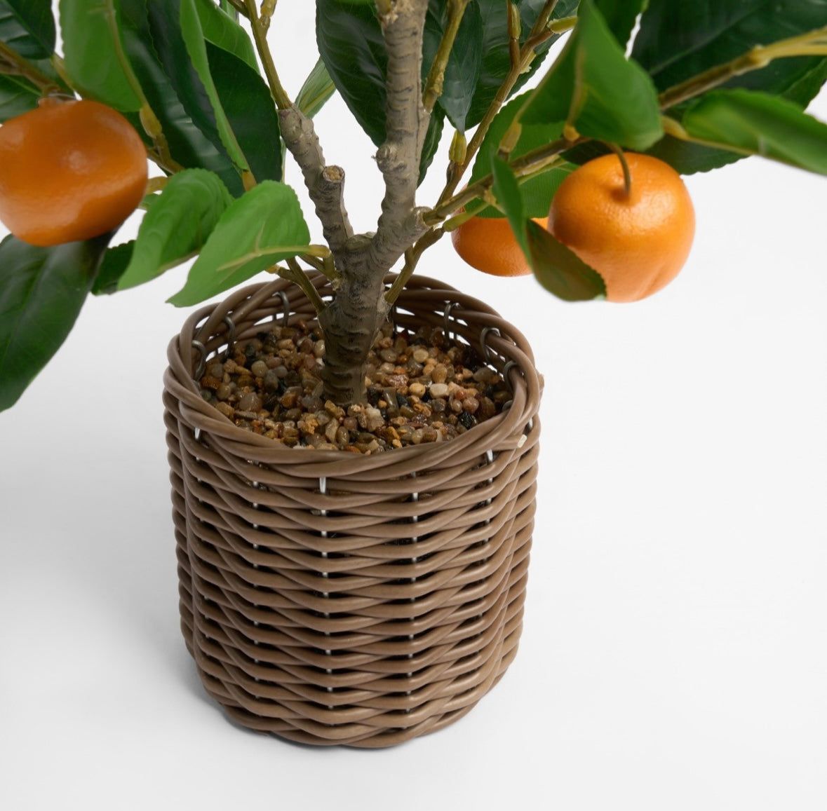 Orange Tree in Basket - Green/Orange 🇬🇧