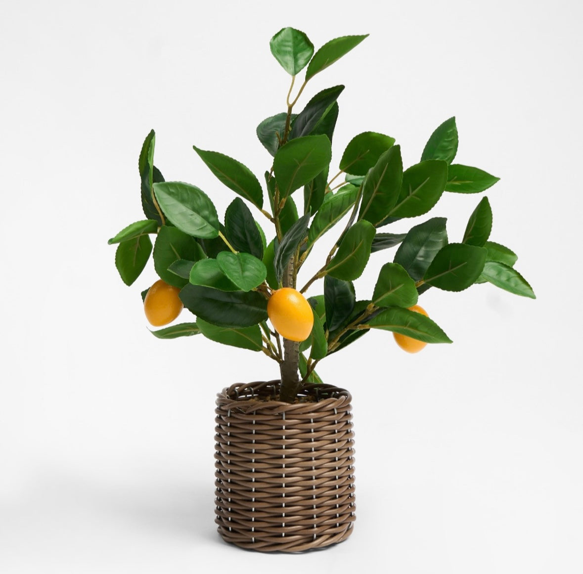 Lemon Tree in Basket - Green/Yellow 🇬🇧