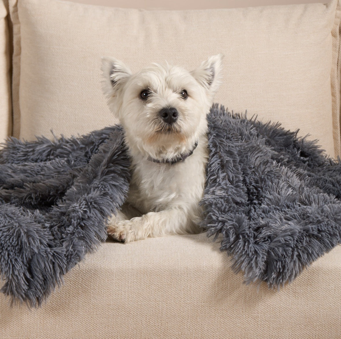 Pet Calming Fluffy Throw - charcoal 🇬🇧