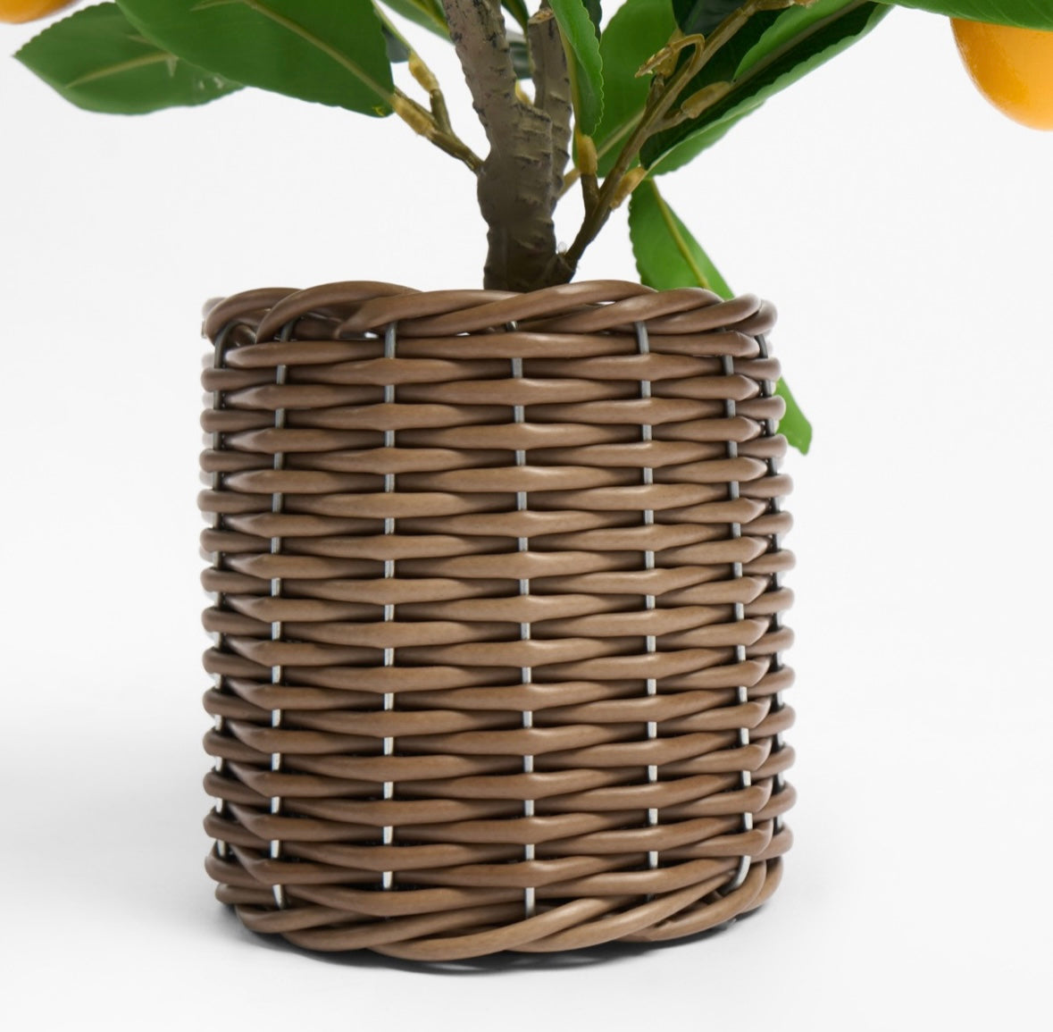 Lemon Tree in Basket - Green/Yellow 🇬🇧