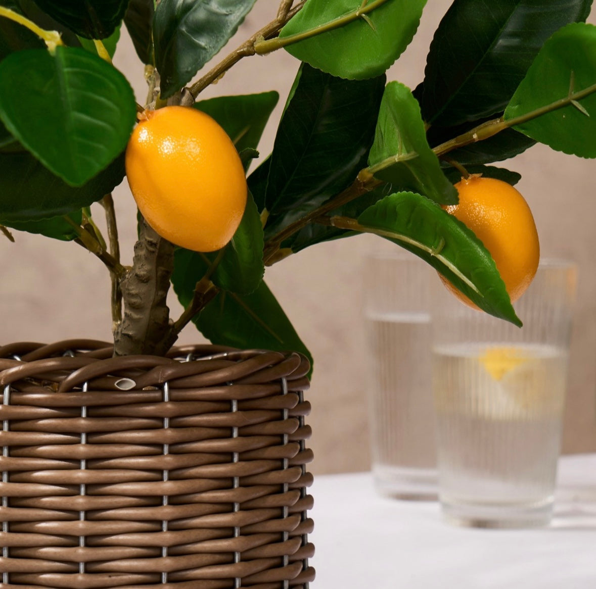 Lemon Tree in Basket - Green/Yellow 🇬🇧