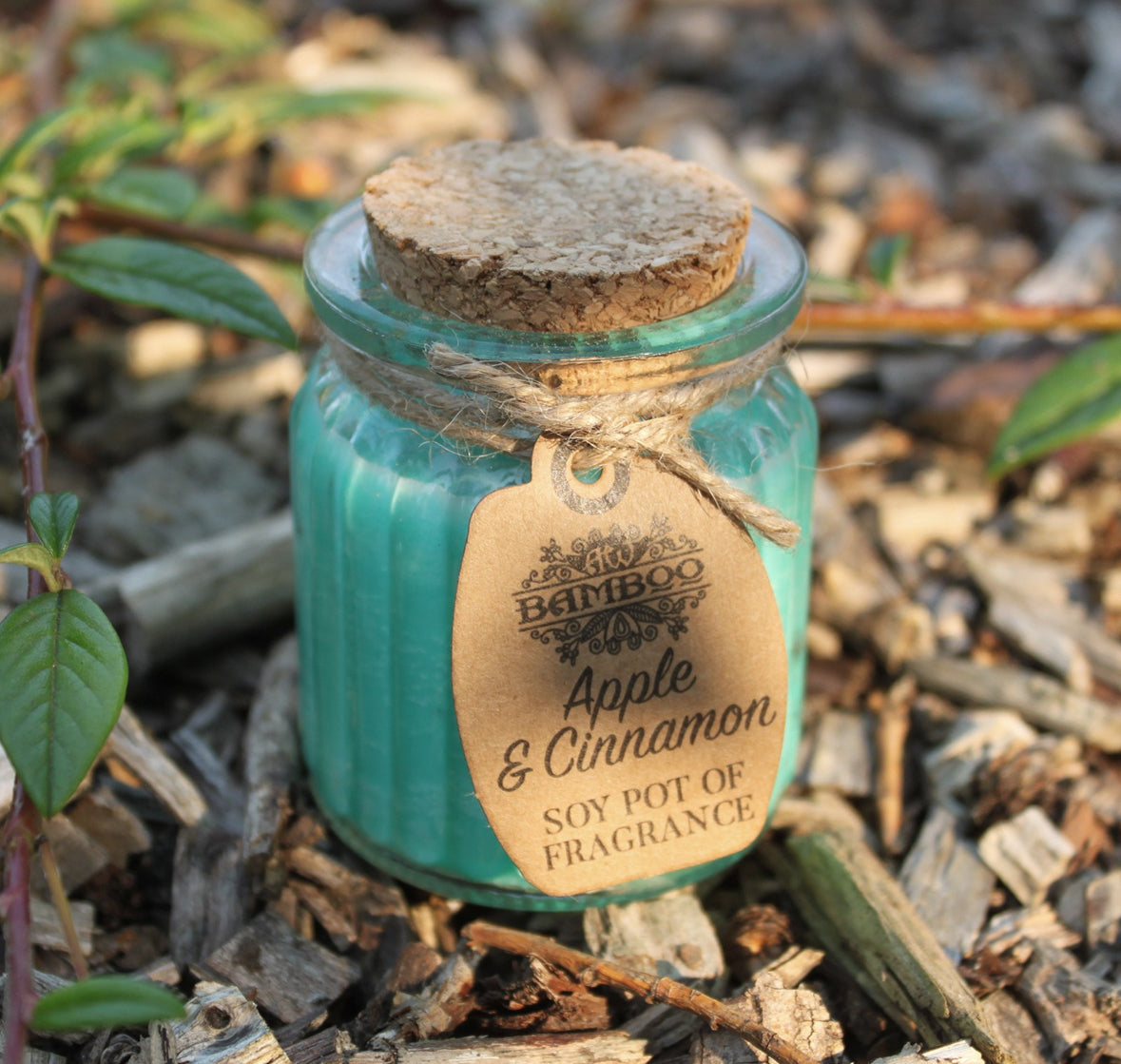 2x Apple & Cinnamon Soy Pot of Fragrance Candles 🇬🇧