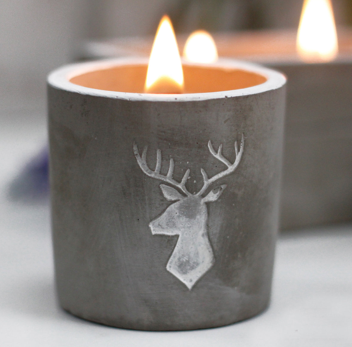 Med Pot - Stag Head - Whiskey & Woodsmoke 🇬🇧