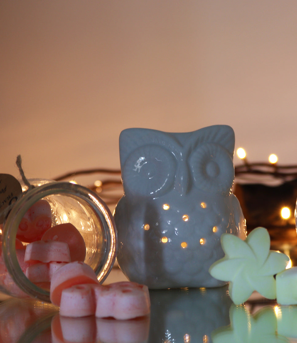 Classic White Oil Burner - Tall Owl plus 10 ml Eucalyptus Essential Oil 🇨🇳