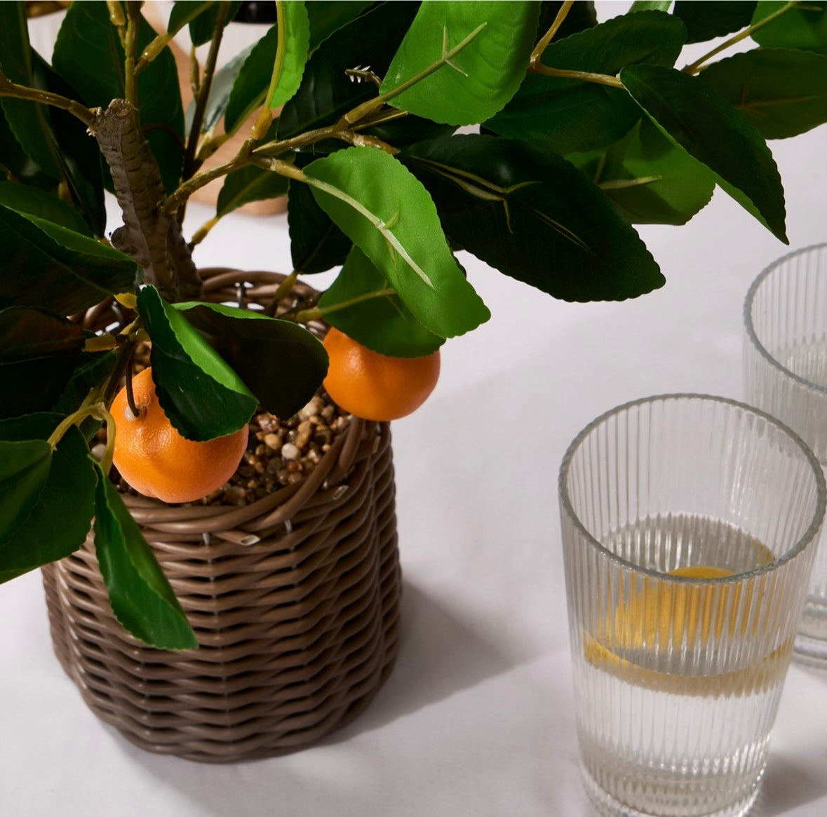 Orange Tree in Basket - Green/Orange 🇬🇧