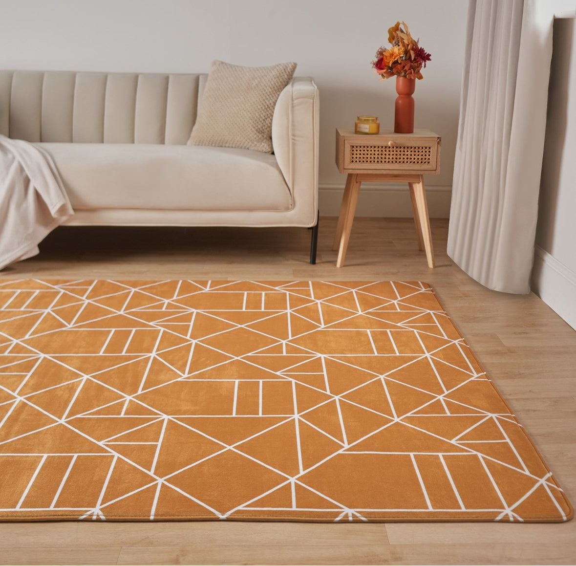 Geometric Printed Rug 🇨🇳