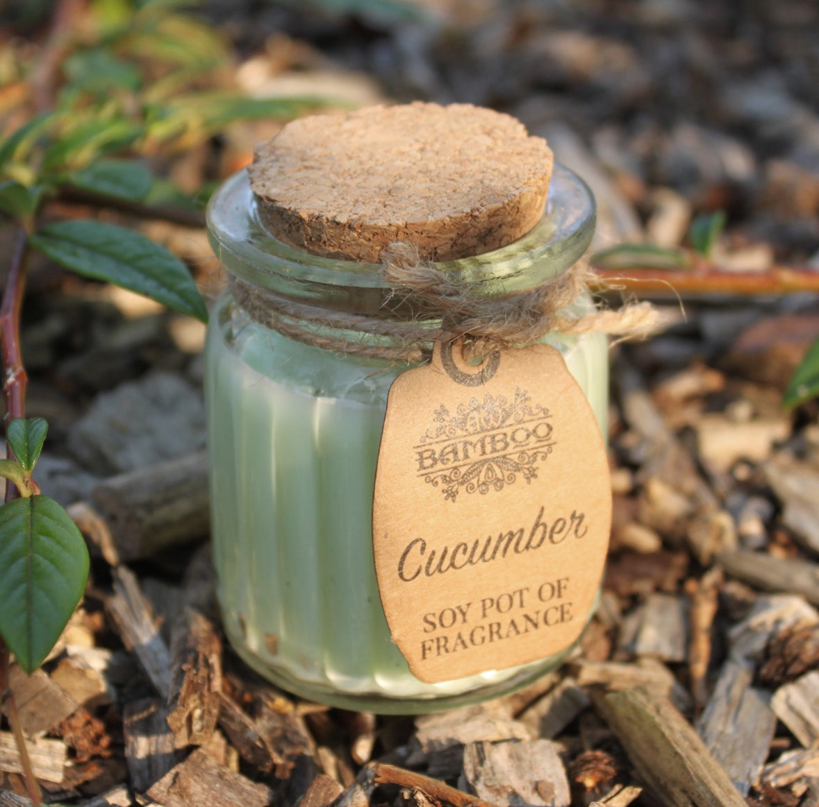 2x Cucumber Soy Pot of Fragrance Candles 🇬🇧
