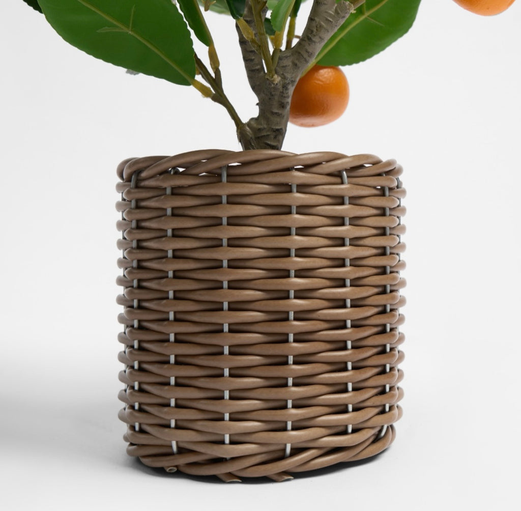 Orange Tree in Basket - Green/Orange 🇬🇧