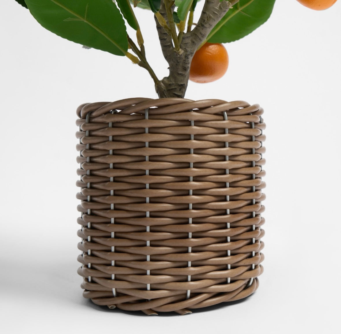 Orange Tree in Basket - Green/Orange 🇬🇧