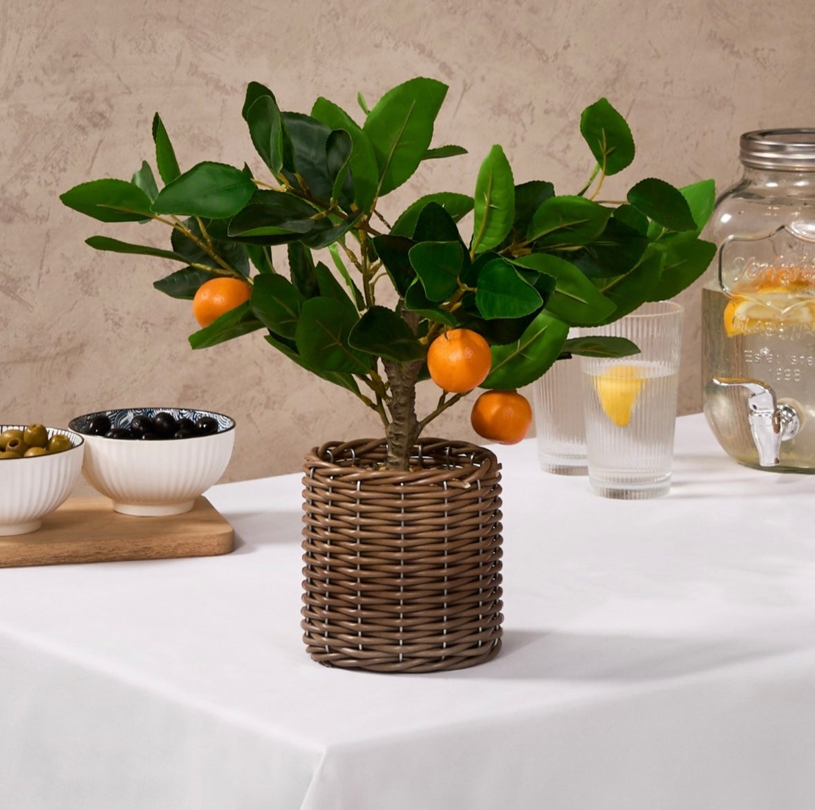 Orange Tree in Basket - Green/Orange 🇬🇧