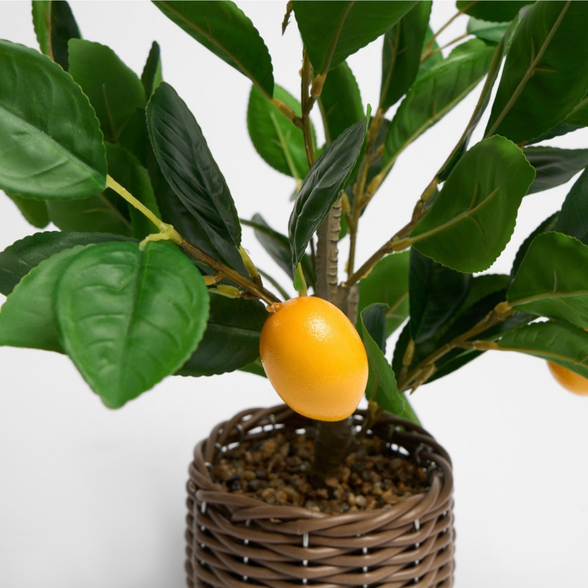 Lemon Tree in Basket - Green/Yellow 🇬🇧