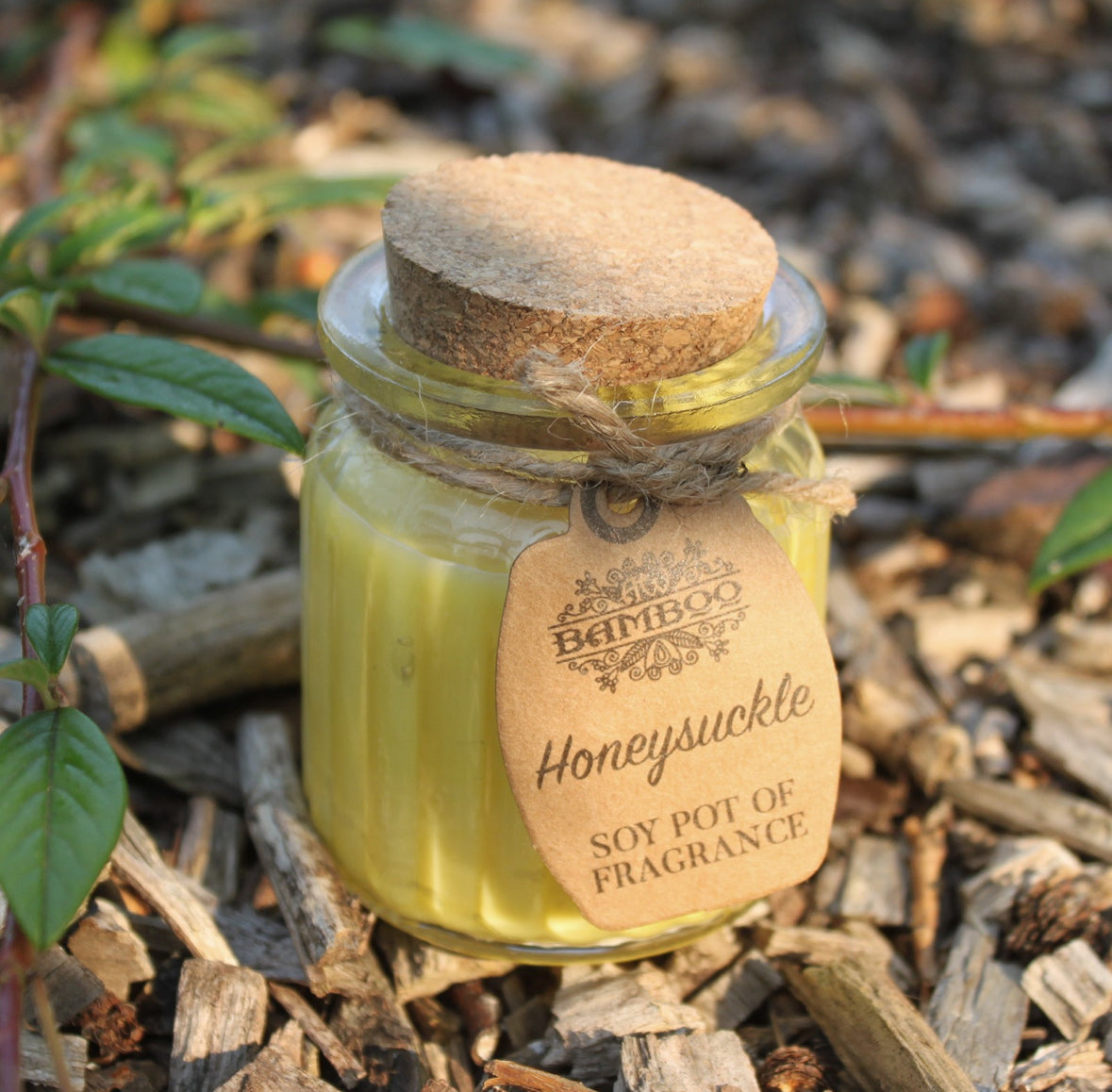 2x Honeysuckle Soy Pot of Fragrance Candles 🇬🇧