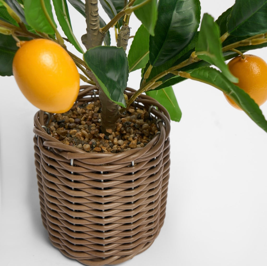 Lemon Tree in Basket - Green/Yellow 🇬🇧