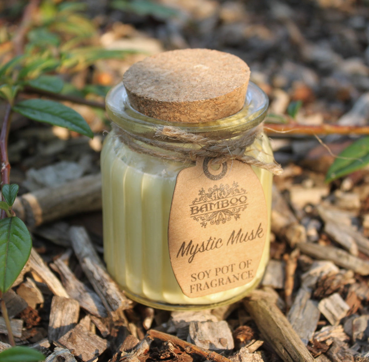 2x Mystic Musk Soy Pot of Fragrance Candles 🇬🇧