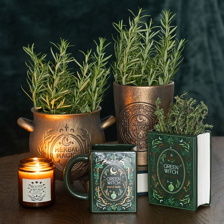 Garden Witch Bronze Effect Terracotta Plant Pot 🇬🇧