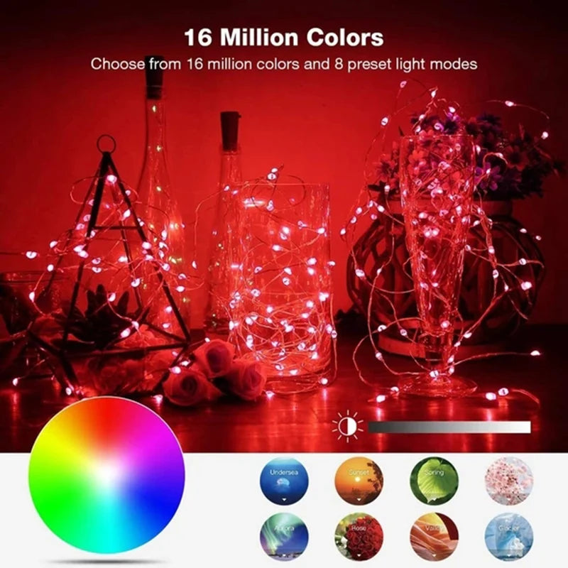 LED String Lights For Christmas Tree Decor 20m 200LED App Remote Control RGB Lighting String 🇨🇳