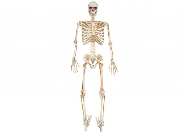 Full Skeleton with LED Eyes 🇬🇧