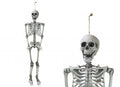 Hanging Skeleton Decoration (160cm) 🇬🇧