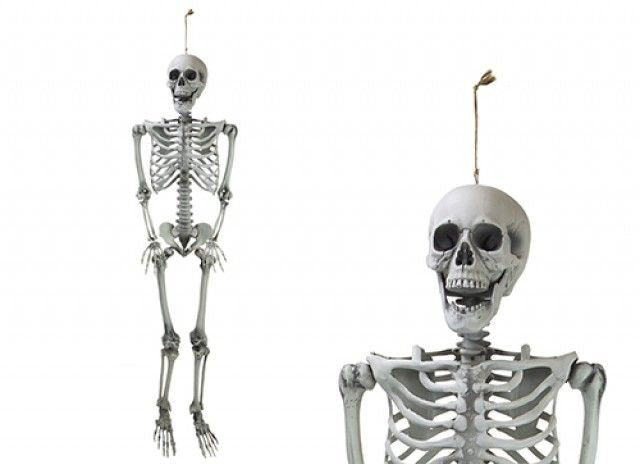 Hanging Skeleton Decoration (160cm) 🇬🇧