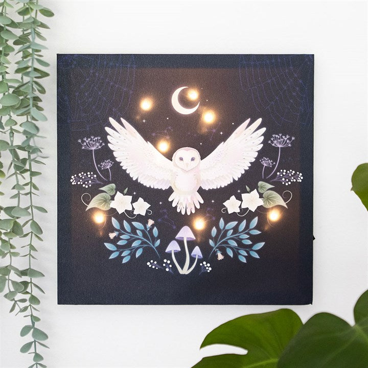 Night Owl Light Up Canvas Plaque 🇬🇧