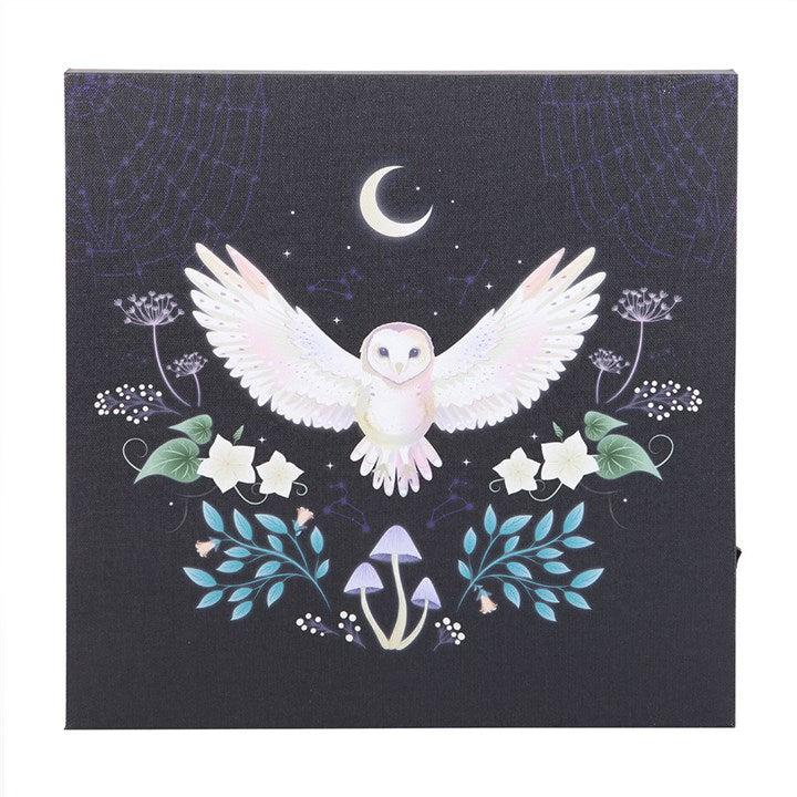 Night Owl Light Up Canvas Plaque 🇬🇧