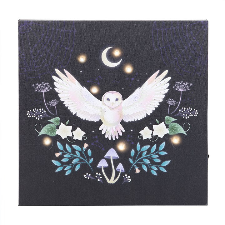 Night Owl Light Up Canvas Plaque 🇬🇧