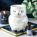 Owl Shaped Iridescent Oil Burner and Wax Warmer 🇬🇧