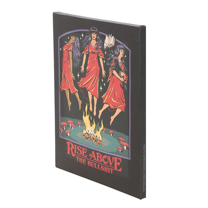 19x25cm Rise Above the Bullshit Canvas Plaque by Steven Rhodes 🇬🇧