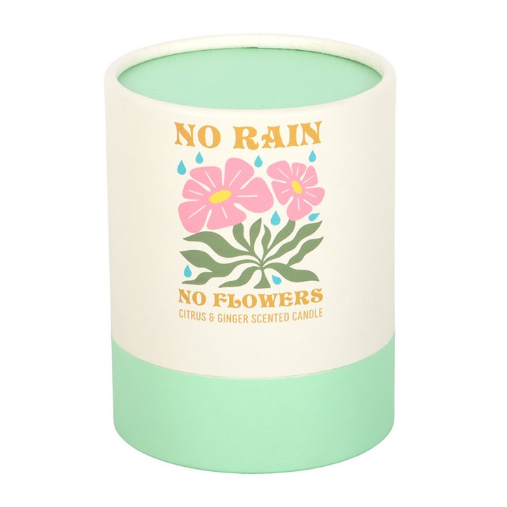 No Rain, No Flowers Citrus & Ginger Candle 🇬🇧