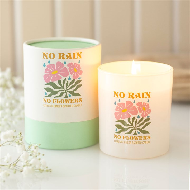 No Rain, No Flowers Citrus & Ginger Candle 🇬🇧