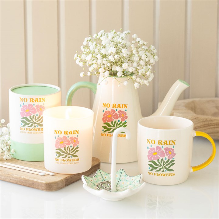 No Rain, No Flowers Ceramic Watering Can / Vase 🇬🇧