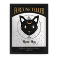 Mystic Mog Mirrored Wall Hanging 🇬🇧