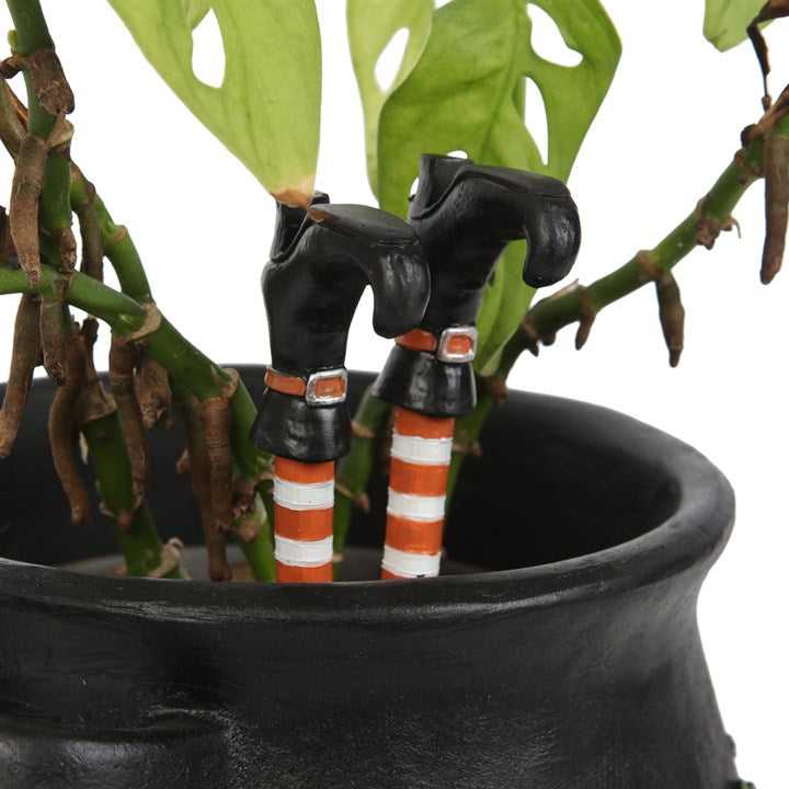 Set of 2 Witch Leg Plant Pot Ornaments 🇬🇧