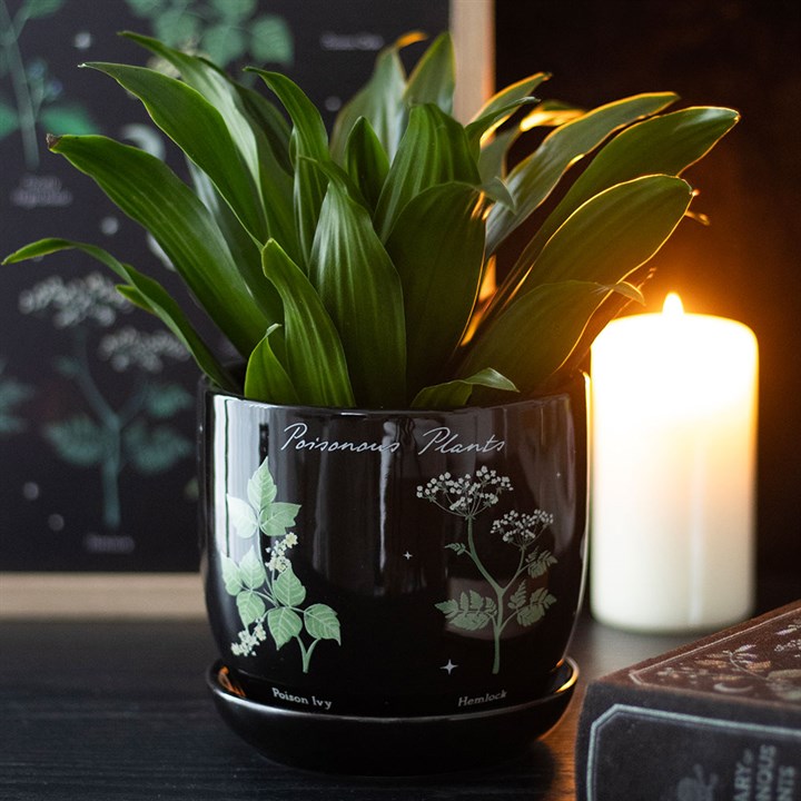 Poisonous Plants Plant Pot 🇬🇧