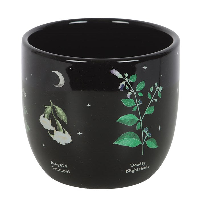Poisonous Plants Plant Pot 🇬🇧