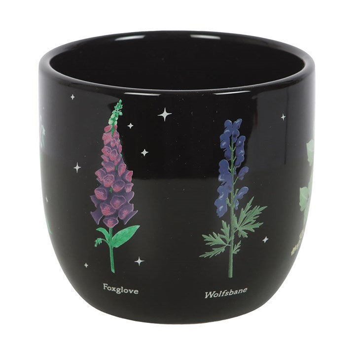 Poisonous Plants Plant Pot 🇬🇧