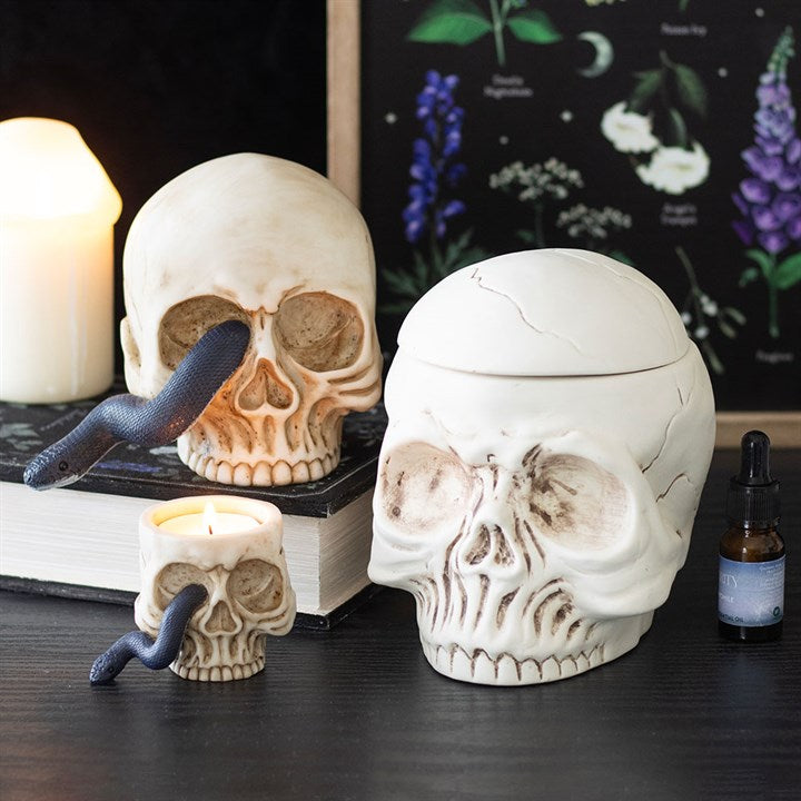 Skull Tealight Holder with Snake 🇬🇧