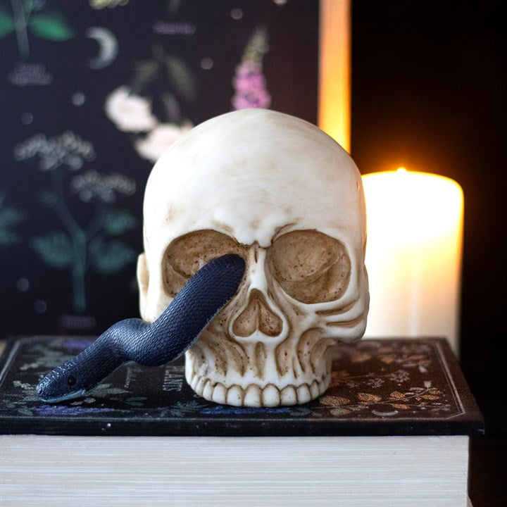 Skull Ornament with Snake 🇬🇧