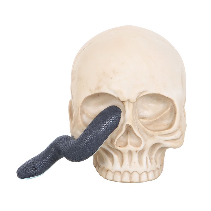 Skull Ornament with Snake 🇬🇧