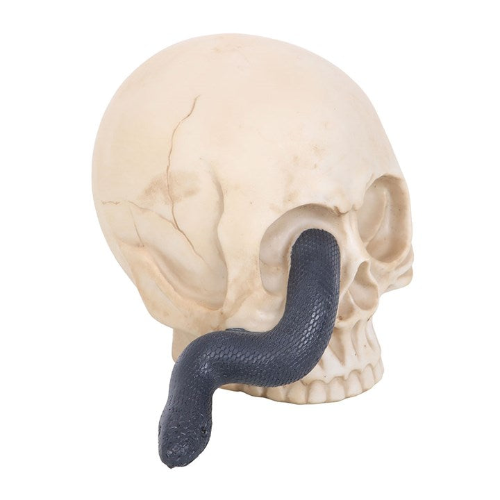 Skull Ornament with Snake 🇬🇧