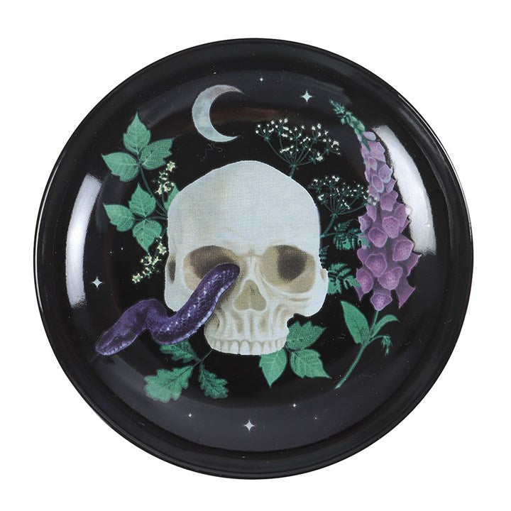 Venom & Vines Skull Trinket Dish 🇬🇧